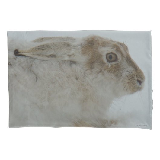 R11 Schneeschuh-Hare Kissenbezug (Vorderseite)