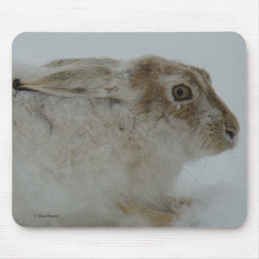 R11 Schneeschuh-Hareschuss Mousepad (Vorne)