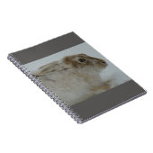 R11 Schneeschuh-Hareschuss Notizblock (Rechte Seite)