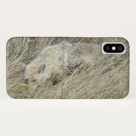R13 Coyote im Gras iPhone X Hülle