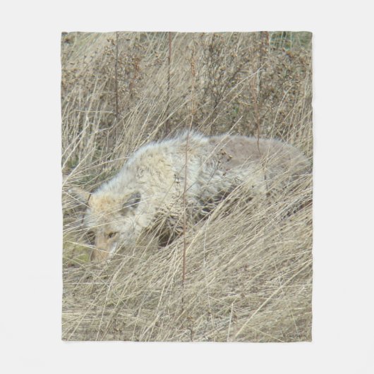R13 Coyote in Großgras Fleecedecke (Vorderseite)