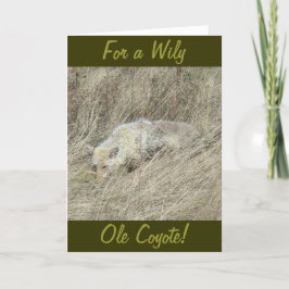 R13 Coyote in Großgras Karte