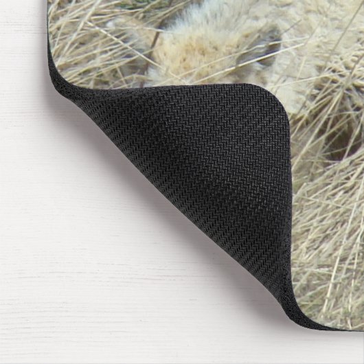 R13 Coyote in Großgras Mousepad (Ecke)