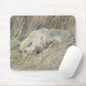R13 Coyote in Großgras Mousepad (Mit Mouse)