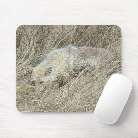 R13 Coyote in Großgras Mousepad (Mit Mouse)