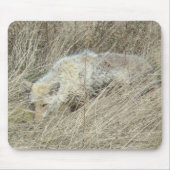 R13 Coyote in Großgras Mousepad (Vorne)