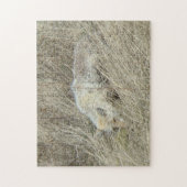 R13 Coyote in Großgras Puzzle (Vertikal)