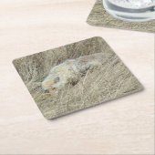 R13 Coyote in Großgras Rechteckiger Pappuntersetzer (angewinkelt)