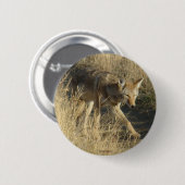 R14 Coyote Walking Button (Vorne & Hinten)