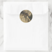 R14 Coyote Walking Runder Aufkleber (Tasche)