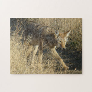 R14 Kojote Gehen Puzzle