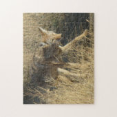 R14 Kojote Gehen Puzzle (Vertikal)