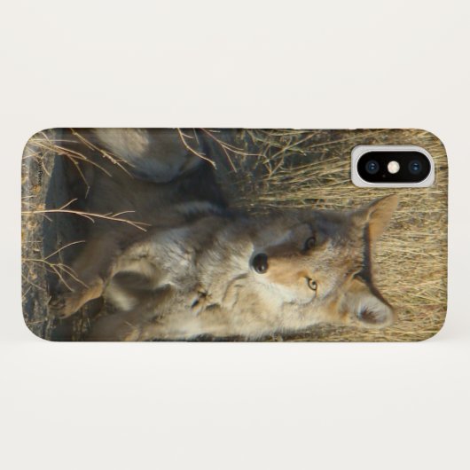 R15 Coyote Lay Case-Mate iPhone Hülle (Rückseite (Horizontal))