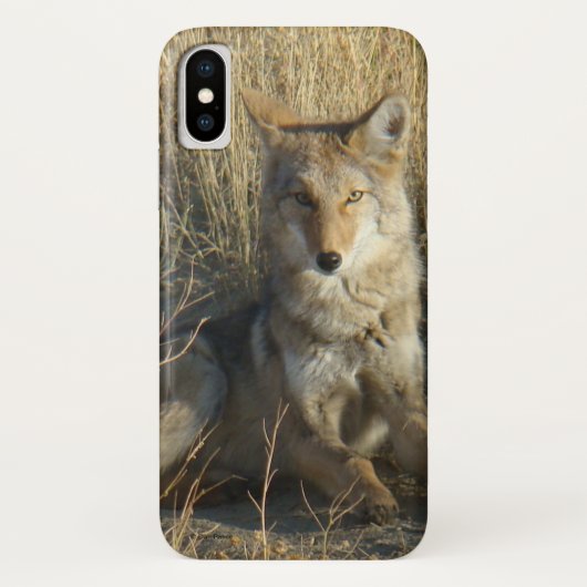 R15 Coyote Lay Case-Mate iPhone Hülle (Rückseite)