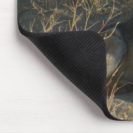 R15 Coyote Lay Mousepad (Ecke)