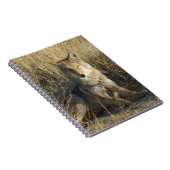 R15 Coyote Lay Notizblock (Rechte Seite)