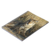 R15 Coyote Lay Notizblock (Linke Seite)