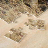 R15 Coyote Lay Puzzle (Seite)