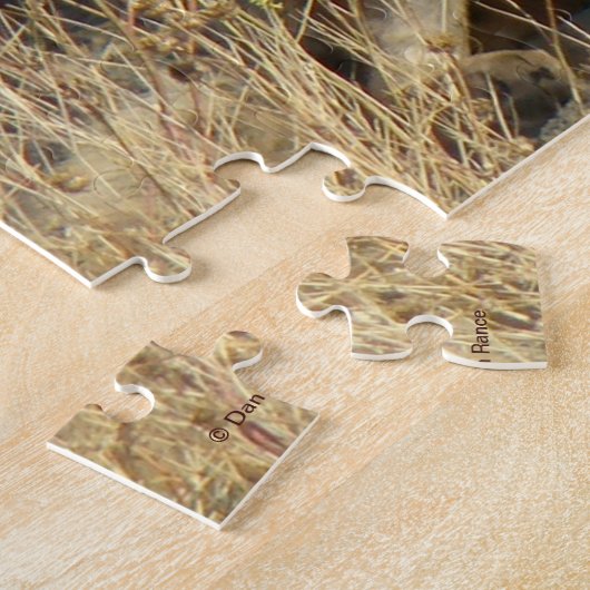 R15 Coyote Lay Puzzle (Seite)
