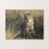 R15 Coyote Lay Puzzle (Horizontal)