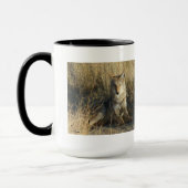 R15 Coyote Lay Tasse (Links)