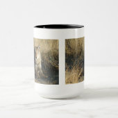 R15 Coyote Lay Tasse (Zentrum)