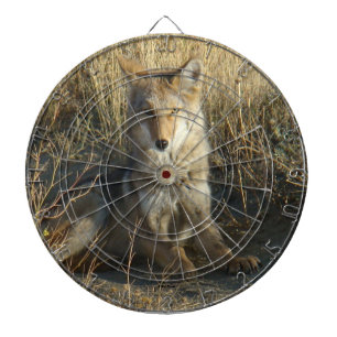 R15 Kojote liegt Dartscheibe