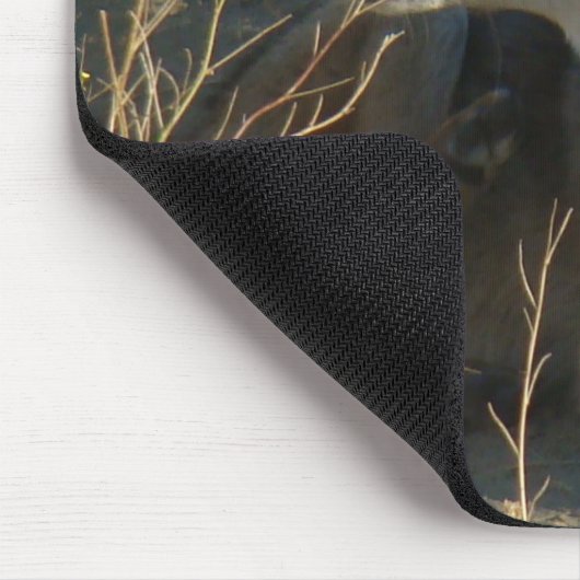 R16 Coyote Lay Mousepad (Ecke)