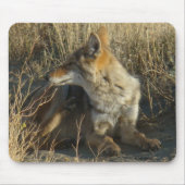 R16 Coyote Lay Mousepad (Vorne)