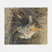 R16 Coyote Scratching Fleecedecke (Vorderseite (Horizontal))