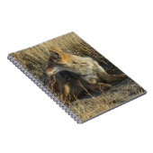 R16 Coyote Scratching Notizblock (Rechte Seite)