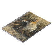 R16 Coyote Scratching Notizblock (Linke Seite)