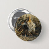 R16 Kojote kratzt Button (Vorne & Hinten)