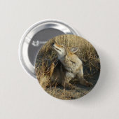 R17 Coyote Scratching Button (Vorne & Hinten)