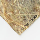 R17 Coyote Scratching Fleecedecke (Ecke)