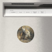 R17 Coyote Scratching Magnet (In Situ (Geschirrspüler))