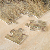 R17 Coyote Scratching Puzzle (Seite)