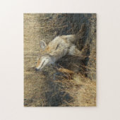 R17 Coyote Scratching Puzzle (Vertikal)