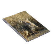 R18 Coyote Lay Notizblock (Rechte Seite)