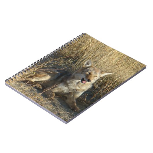 R18 Coyote Lay Notizblock (Linke Seite)