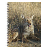 R18 Coyote Lay Notizblock (Vorderseite)