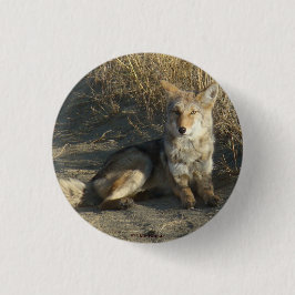 R19 Coyote Lay Button