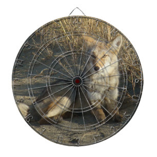 R19 Coyote Lay Dartscheibe
