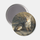 R19 Coyote Lay Magnet (Vorderseite/Rückseite)