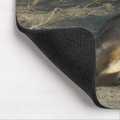 R19 Coyote Lay Mousepad (Ecke)