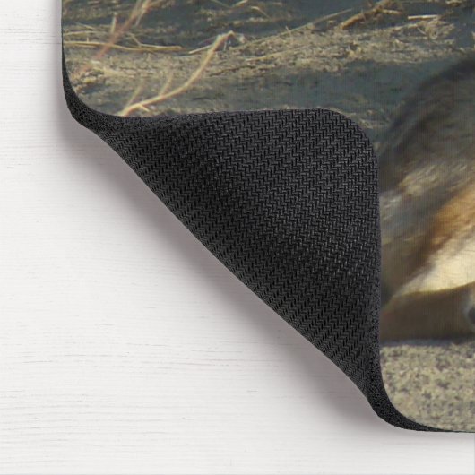 R19 Coyote Lay Mousepad (Ecke)