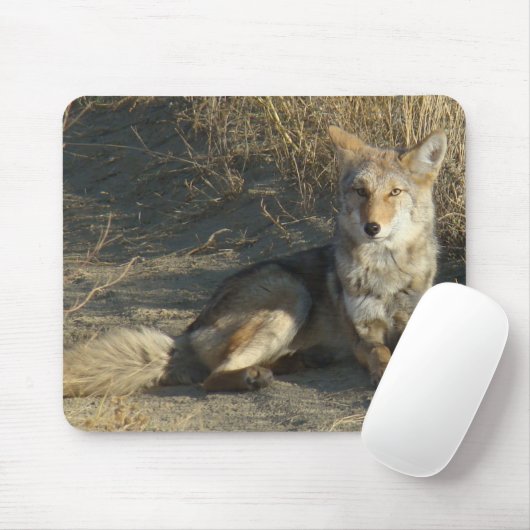 R19 Coyote Lay Mousepad (Mit Mouse)