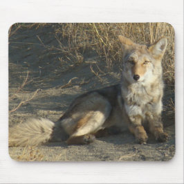 R19 Coyote Lay Mousepad
