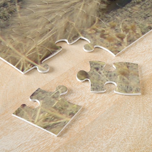 R19 Coyote Lay Puzzle (Seite)