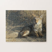 R19 Coyote Lay Puzzle (Horizontal)